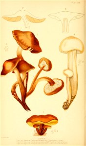 n153_w1150
