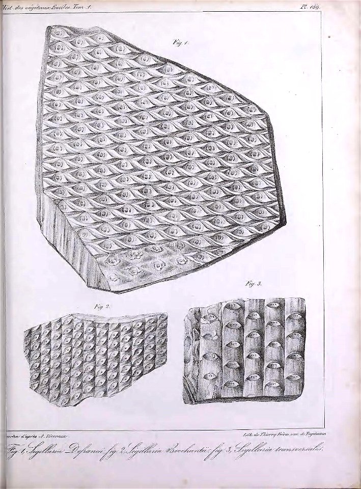 n418_w1150