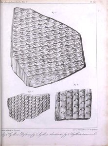 n418_w1150