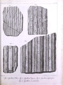 n388_w1150