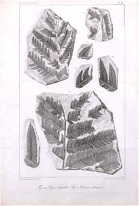 n296_w1150