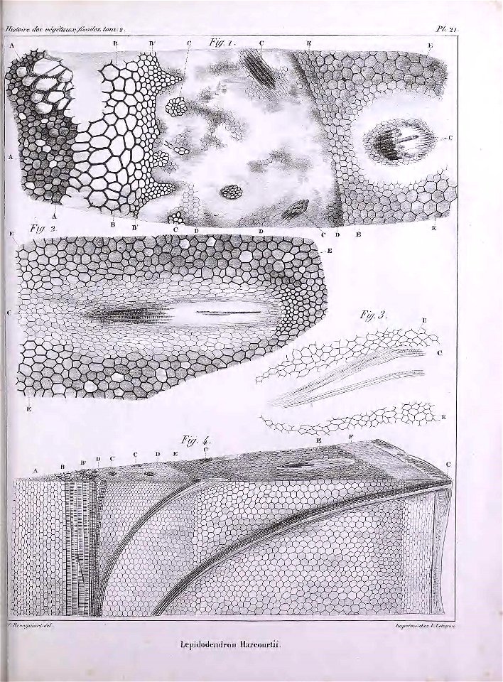 n474_w1150