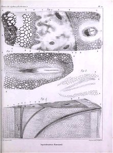 n474_w1150