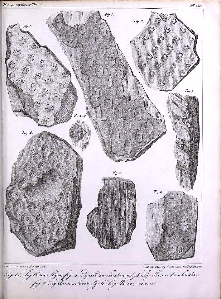 n414_w1150