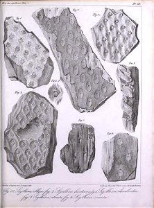 n414_w1150
