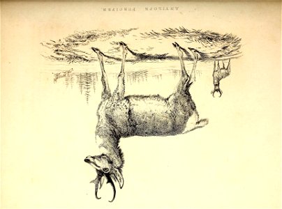 n363_w1150
