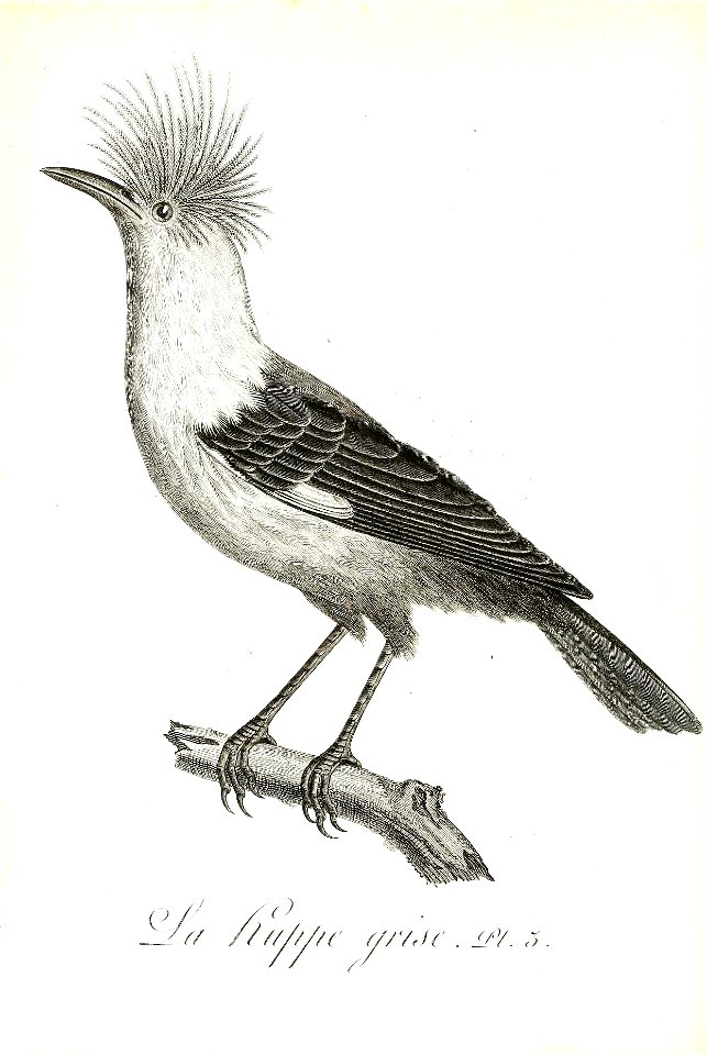 n355_w1150
