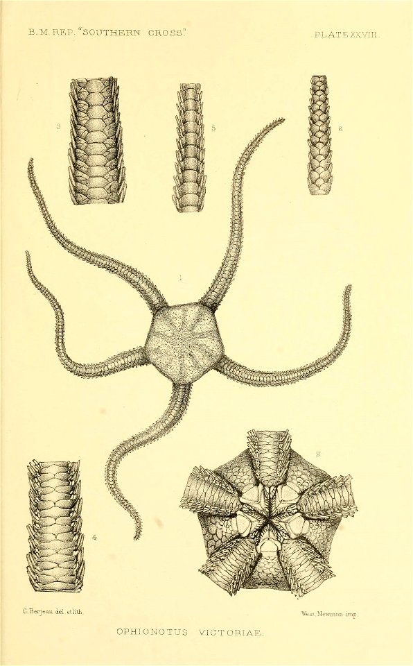 n404_w1150