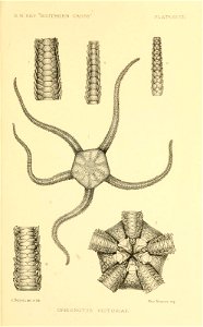 n404_w1150