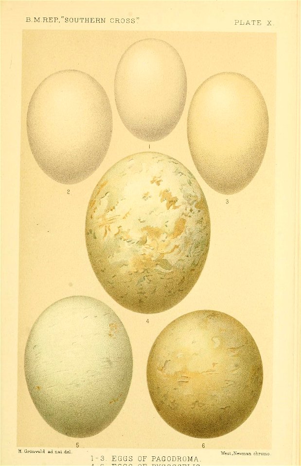 n374_w1150