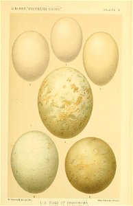 n374_w1150