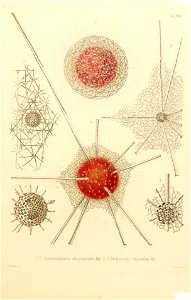 n58_w1150