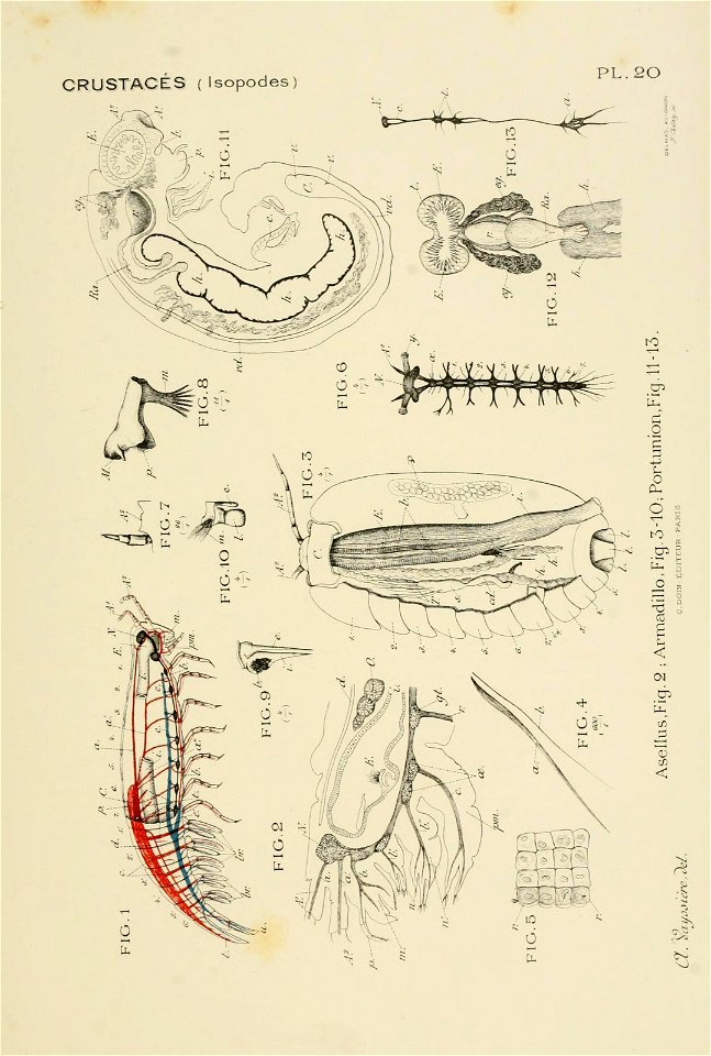 n126_w1150