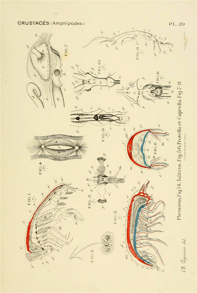 n120_w1150
