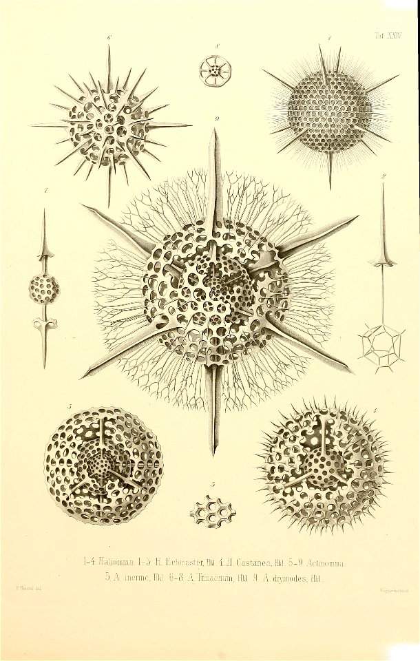 n54_w1150