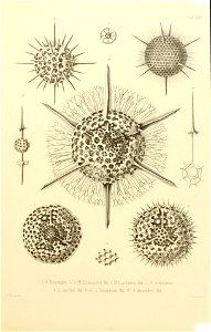 n54_w1150
