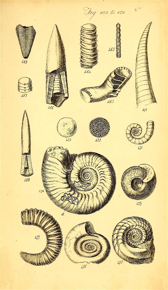n374_w1150