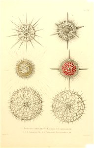n52_w1150