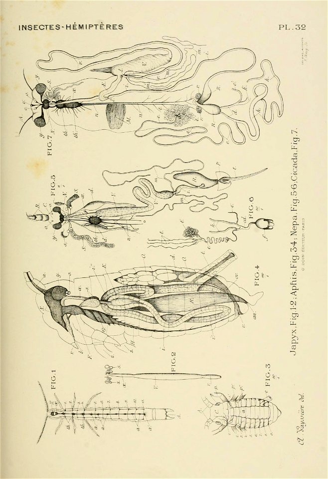 n194_w1150
