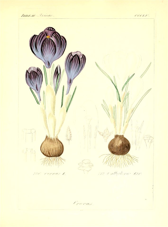 n106_w1150