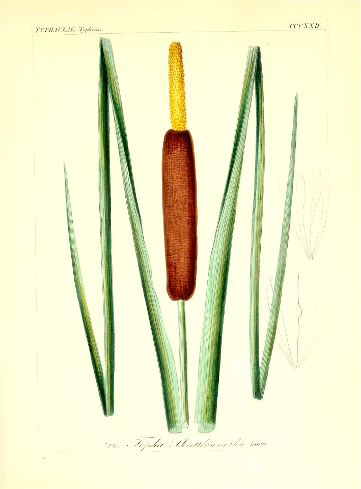 n40_w1150
