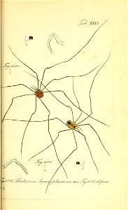 n178_w1150