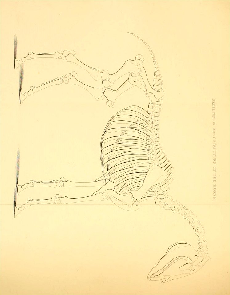 n255_w1150