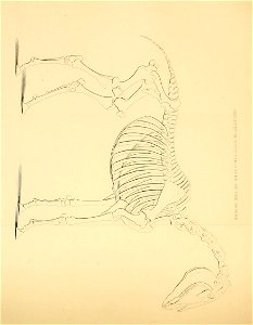 n255_w1150