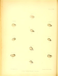n291_w1150