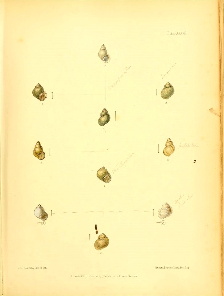 n168_w1150