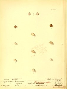 n109_w1150