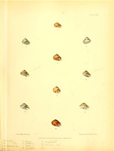 n198_w1150