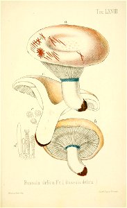 n296_w1150