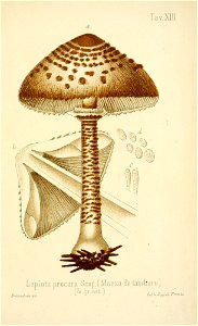 n176_w1150