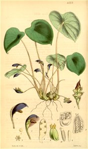 n59_w1150