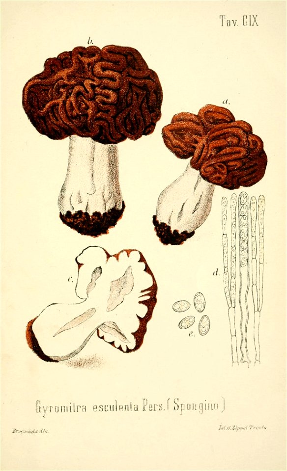 n384_w1150