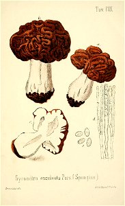 n384_w1150