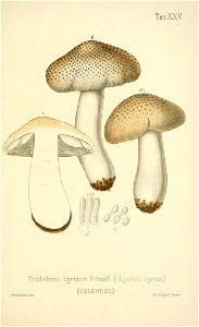 n202_w1150