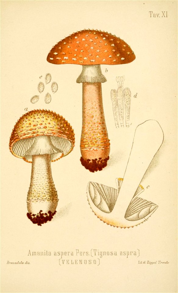 n172_w1150
