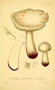 n198_w1150