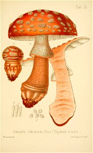 n168_w1150