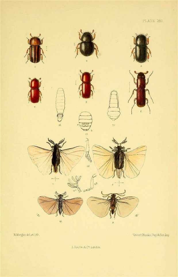 n676_w1150