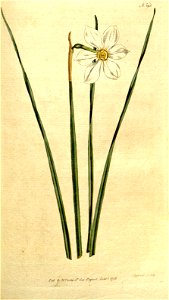 n102_w1150