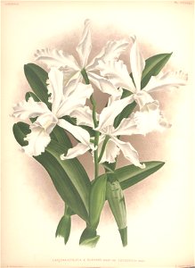 n137_w1150
