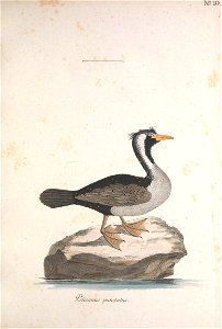 n50_w1150