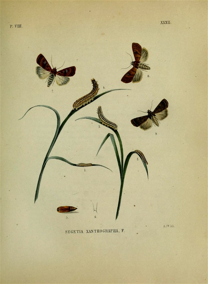 n204_w1150