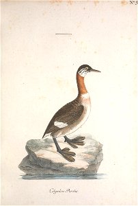 n46_w1150