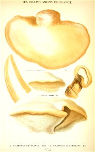 n598_w1150