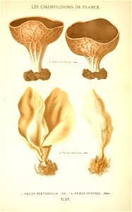 n622_w1150