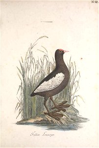 n58_w1150